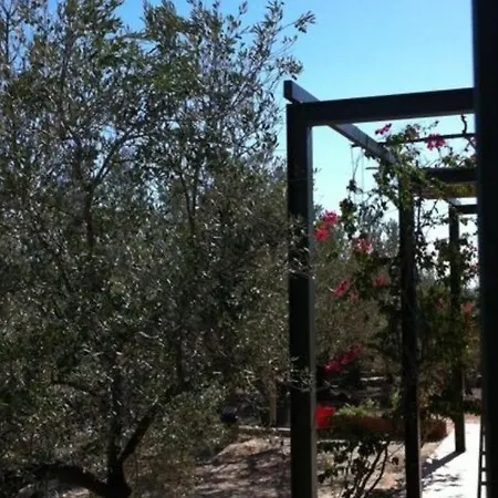Olea *