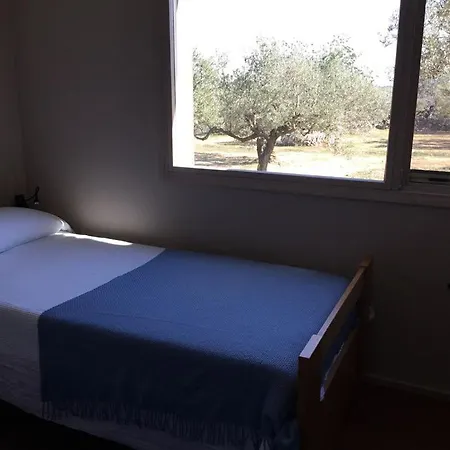 Olea *