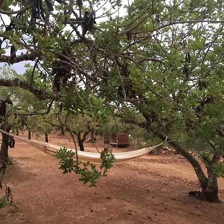 Olea Ferienhaus Camarles
